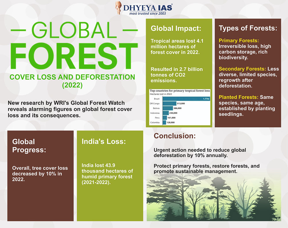 Info-paedia : Global Forest Cover Loss and Deforestation (2022)