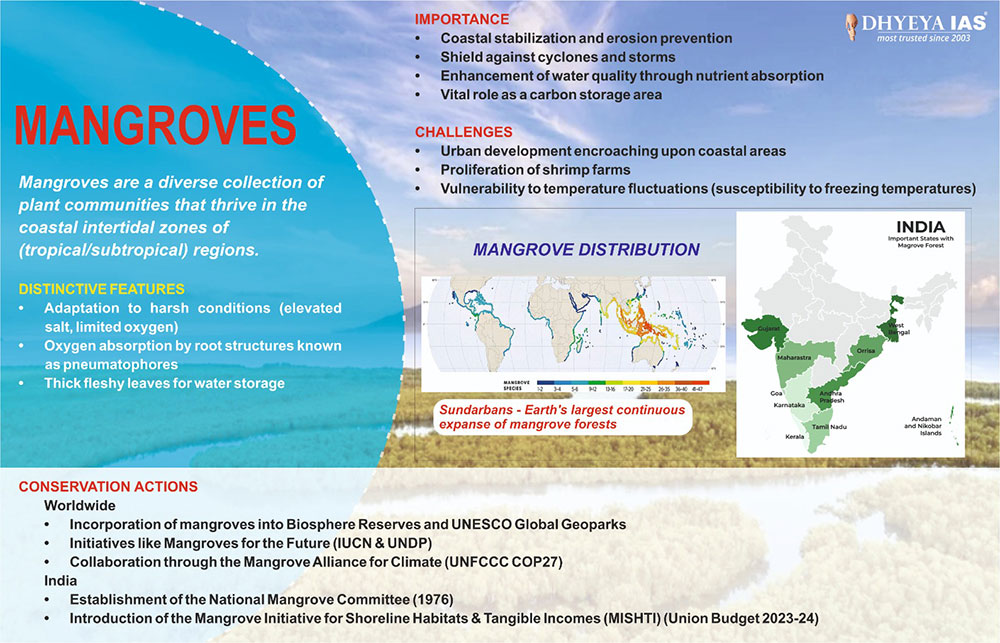 Info-paedia : Mangroves