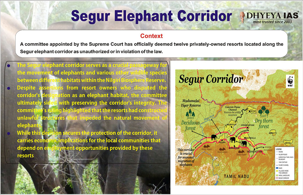 Segur Elephant Corridor