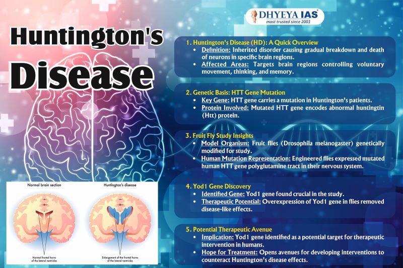 Info-pedia : Huntington’s Disease