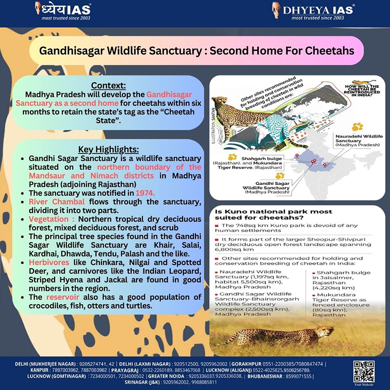 Info-paedia : Gandhisagar Wildlife Sanctuary : Second Home For Cheetahs